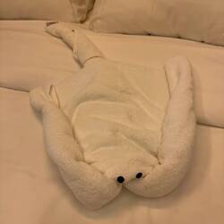 Today's towel art