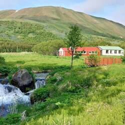 Husavik public gardens