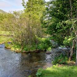 Husavik public gardens