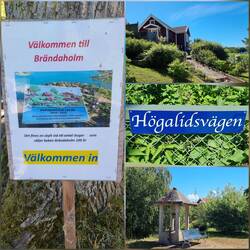 Brändaholm Koloniområde