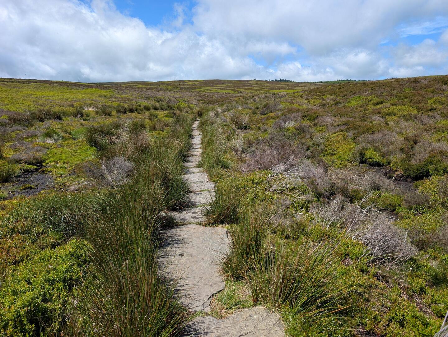 Path of old quarry stones