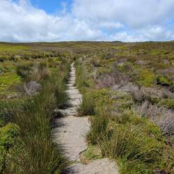 Path of old quarry stones