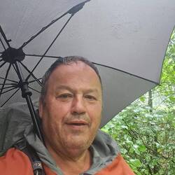 Der Regenschirm als treuer Begleiter