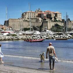 Calvi