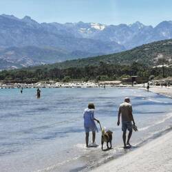 Strand und schneebedeckte Berge