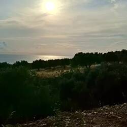 Spot du soir