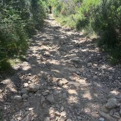 A long, uphill climb that felt like walking through a dry riverbed.