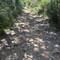 A long, uphill climb that felt like walking through a dry riverbed.