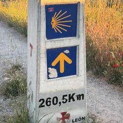 León isn't quite ready to cede to Galicia on the signs. Apparently I have 161 miles to go.