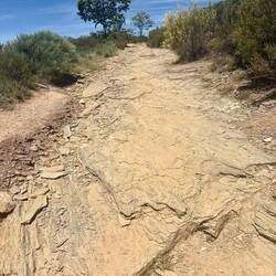 This part felt like walking up Stone Mountain.