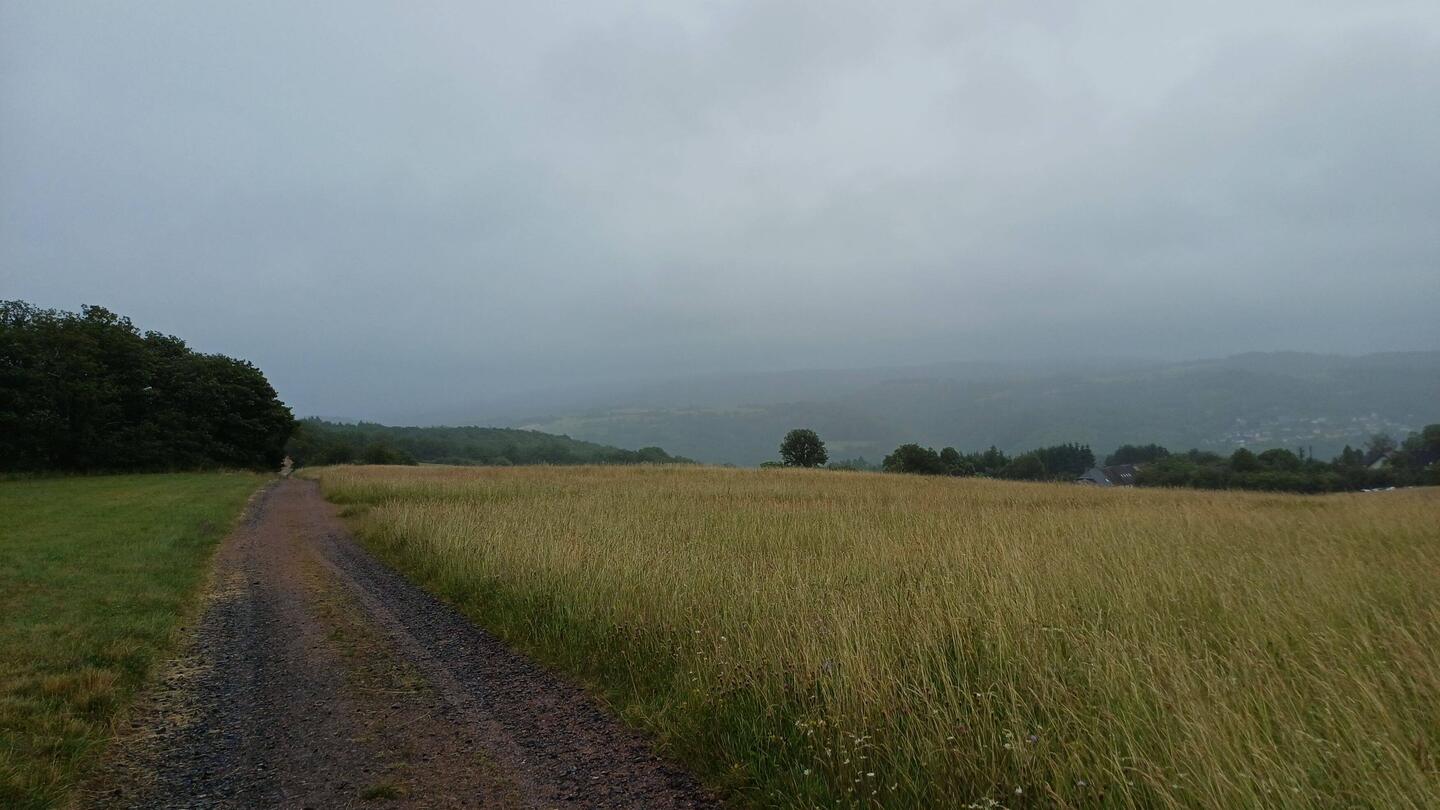 noch war es recht frisch und feucht