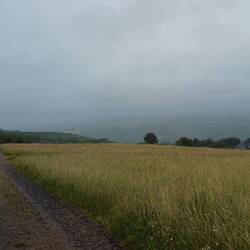 noch war es recht frisch und feucht