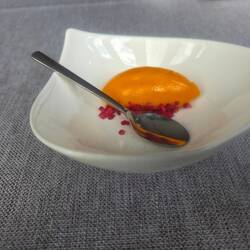 Sea buckthorn sorbert