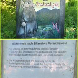 Los geht's 🚶‍♂️🐕‍🦺🚶, das Wetter passt.