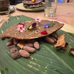 A chocolate desert served in a chocolate pod. Chocolate mouse over Ice cream.