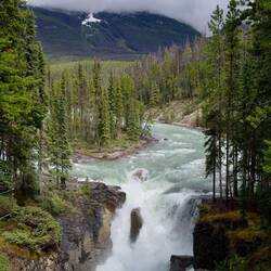 Sunwapta falls