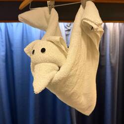 Today's towel art