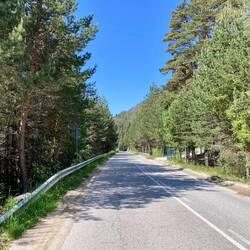 Wald ohne Ende. Kaum Verkehr, nur ein Wolf auf der Strasse, der aber rasch im Wald verschwindet.