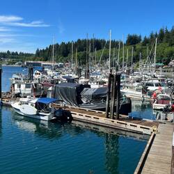 A view with the rest of the marina behind me.