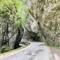 Yagodina Schlucht