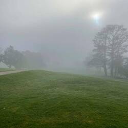 Golf was a little tricky in Auckland this morning