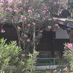 Ourania's Place 2026