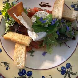 Vorspeise: Burrata.