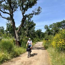 Marco qui déboule sur son Brompton