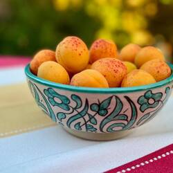 Les délicieux abricots du jardin 😋