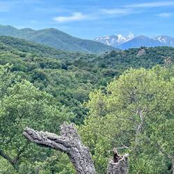 Maintenant, on redescend au pied du Canigou