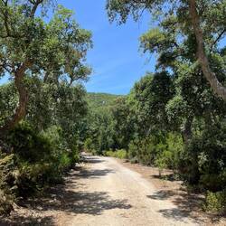 À l'avant, toujours une belle piste 100% dédiée au vélo