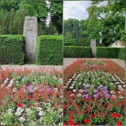 Park
