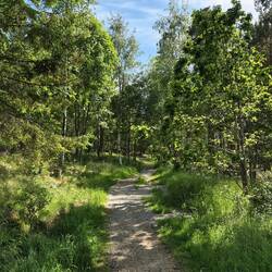 umgebung camping