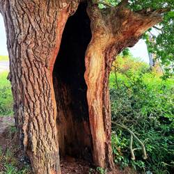 I could've curled up in here rather than walk 25km in the heat!