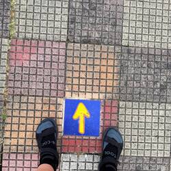 Follow the arrows