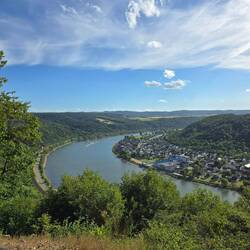 Rheinblick