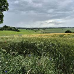 Blick über das Mecklenburger Land.