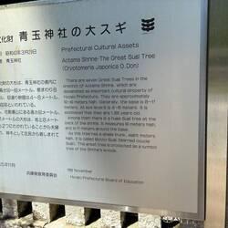 A description of Chieko's favorite local shrine