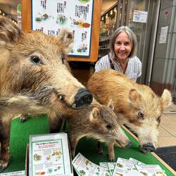 Along a shopping street, in front of a restaurant featuring wild bore
