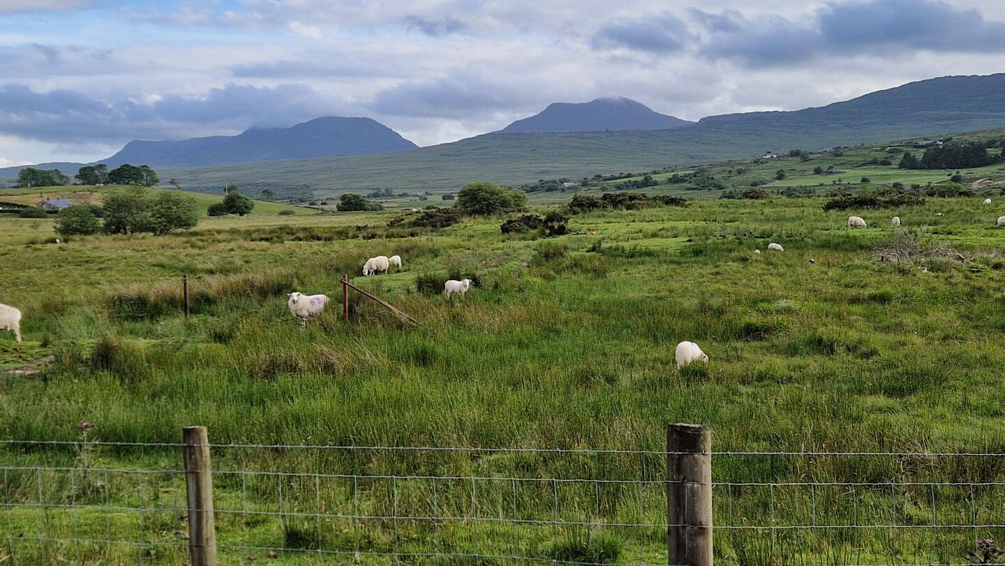 Rhinog Fach and Rhinog Fawr