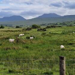 Rhinog Fach and Rhinog Fawr