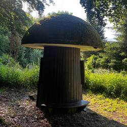 Das war nicht der Steinpilz.