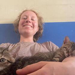Babykatzen im Café machen Hanna glücklich