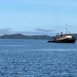 Tug "Pervis Fury".