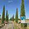 Cypress-lined cycle path.