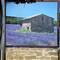 Streetside painting in Gordes - lavender fields in bloom.