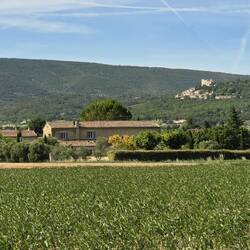 Rural farm (Gordes on the hill in the background).
