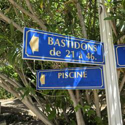 Struck me funny that the word for pool in French is 'piscine' 😉.