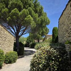 Bastidon grounds