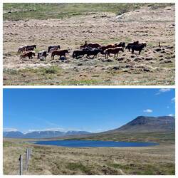 Views en route to Grabrok Crater